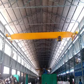 variety of industrial double girder eot cranes in india